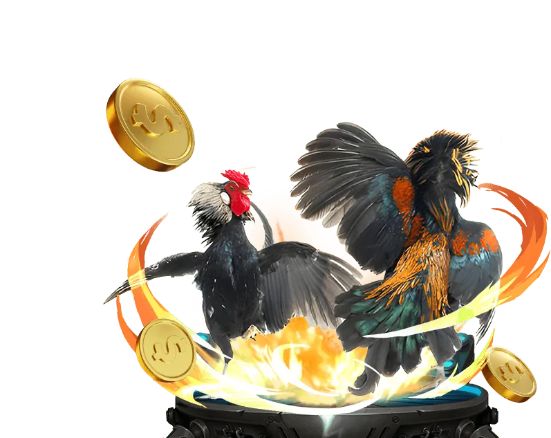 Thưởng nạp lại hàng ngày niw88